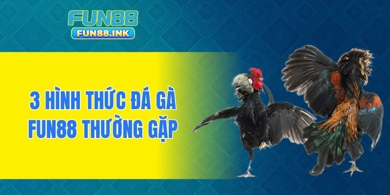 3 hình thức đá gà FUN88 thường gặp