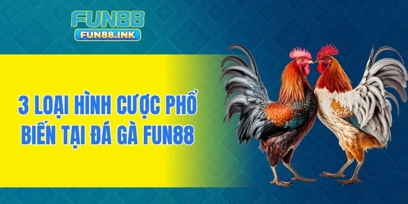 3 loại hình cược phổ biến tại đá gà FUN88